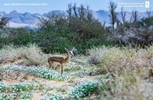 WhatsApp Image 2025-10-20 at 20.15.43_29384df3